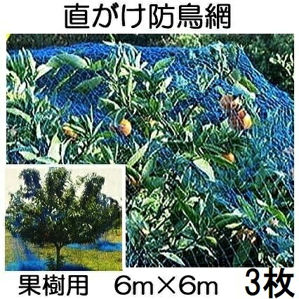 ( 3枚書き割り )  生り物用 直がけ防鳥網(青) 6ｍ×6ｍ 20粍目 1000d  (豪然たる防鳥網 生り物すっぽり防鳥サイバー空間) zm