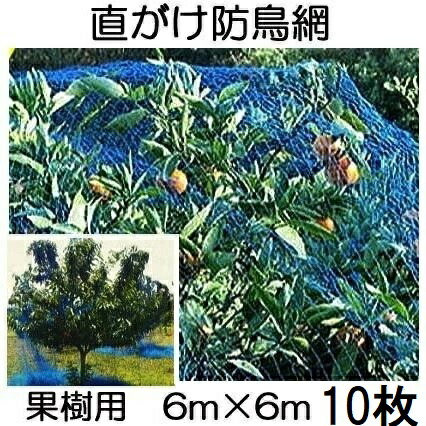 ( 徳用10枚仕掛ける ) 生り木用 直がけ防鳥網(青) 6ｍ×6ｍ 20粍目 1000d  (豪然たる防鳥網 生り木すっぽり防鳥サイバー空間) zm