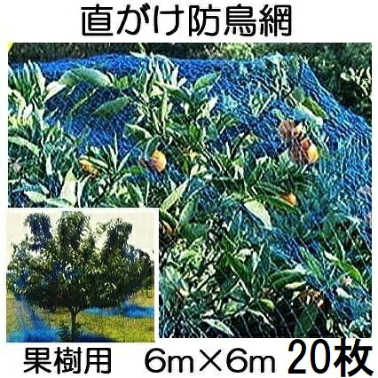 (20枚セット特価) 果樹用 直がけ防鳥網(青) 6ｍ×6ｍ 20mm目 1000d (果樹すっぽり防鳥ネット)