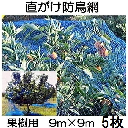 (徳用5枚仕掛ける) 生り木用 直がけ防鳥網 9ｍ×9ｍ 20粍目 1000d (豪然たる防鳥網 生り木すっぽり防鳥サイバー空間) zm