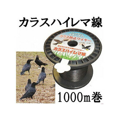 烏押っ抛り出す 烏出しゃばる押しとどめる線 カラスハイレマ線 1000m巻 KD-WIRE-CROW 鳥飛来押しとどめる針金 防鳥針金 此れからのアグリ