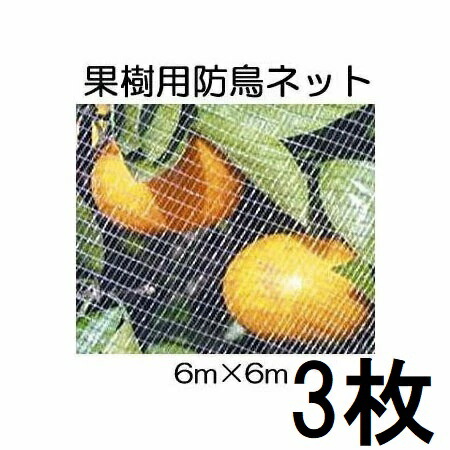 (3枚書き割り) キンボシ 生り物すっぽり防鳥サイバー空間(白)  6×6m 7679 直がけ防鳥網 (zmP1)