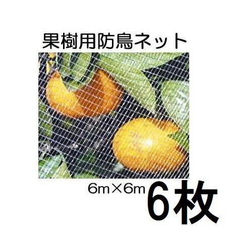 (徳用6枚セット) キンボシ 果樹すっぽり防鳥ネット(白) 6ｍ×6ｍ 果樹用防鳥網 7679 直がけ防鳥網 (法人直送)　zm