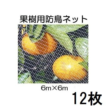 (12枚仕掛ける特価) キンボシ 生り木すっぽり防鳥サイバー空間(白) 6×6M 7679 (直がけ防鳥網) (人間宅送りとどける不可) zm