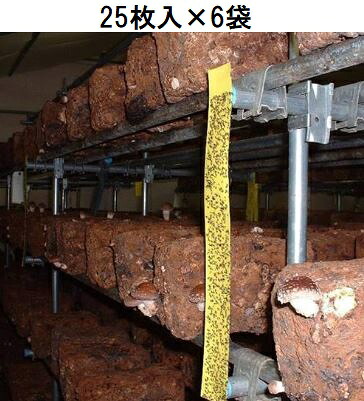 (徳用25枚入&times;6袋) 粘着式捕虫紙 トルシー 業務用 L25P 黄色 100&times;700mm (150枚) 害虫捕獲粘着紙 ビタット トルシー 一色本店　(zmO1)｜瀧商店