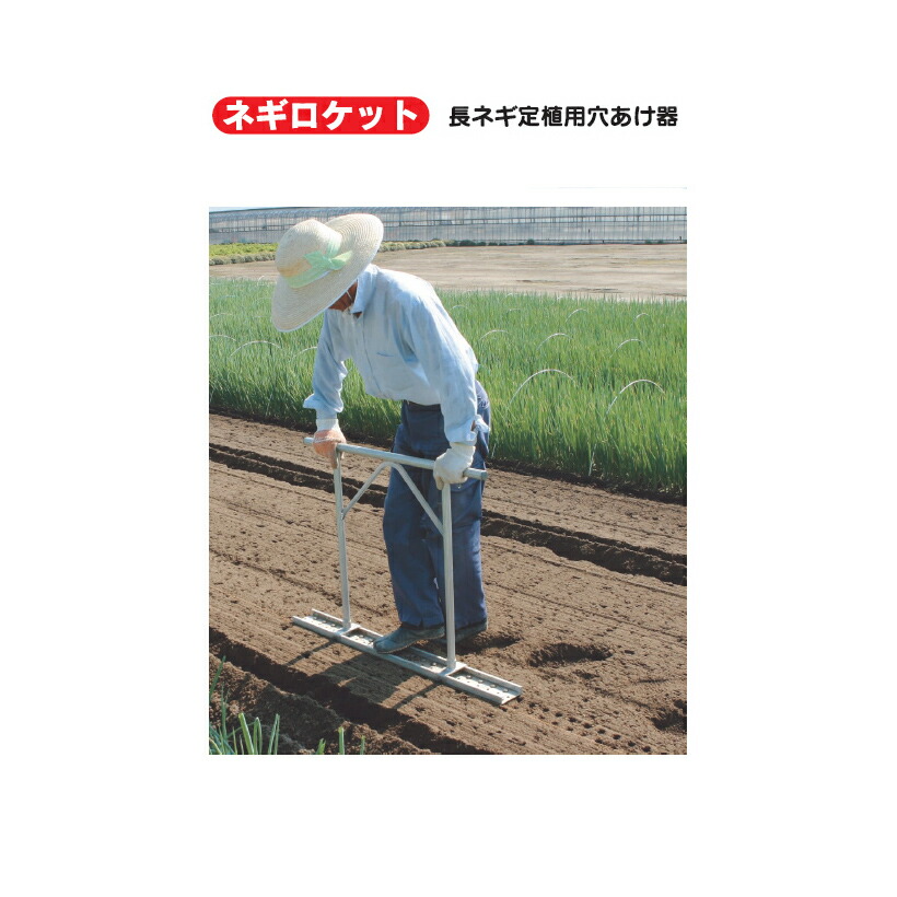 楽天市場】ハラックス 【長ネギ定植用穴あけ器】ネギロケット N