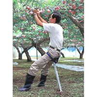 ハラックス ラクテール RT-50 やり方用かばい立てイス  (人間宅送りとどける可) zs