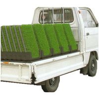 楽天市場】コダマ樹脂工業 苗箱運搬枠 稚苗用 NW-12B 農業 農作業 水田