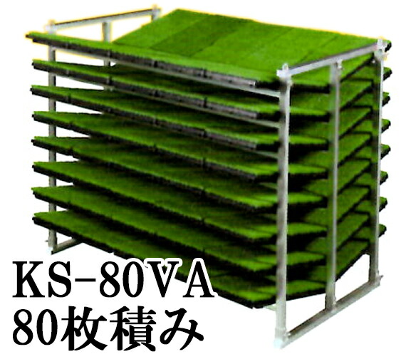 楽天市場】（2025年度分完売.2026.2月以降生産）オールアルミ 苗