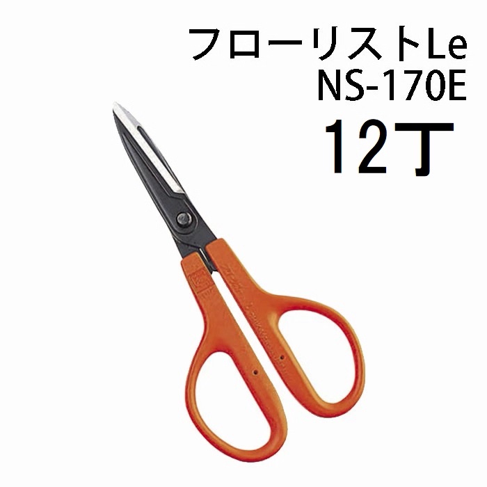 (12丁書き割り特価) 近正 流出商品目録Le やわらかい手持ち部分 NS-170E \u003cBR\u003e 全能鋏 ブリスターパック チカマサ (佐川等or雁の使い容器に並べる) (zmA21)