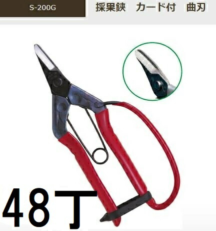 (48本仕掛ける大特価 標準尺度荷拵え) 近正 採果鋏 歌留多付 曲刃 S-200G ［採り入れる鋏 曲刃 反刃 チカマサ］ (zmA70)
