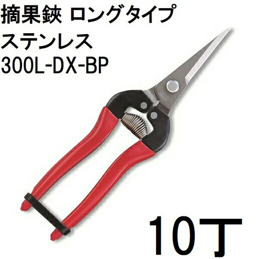 売れ筋 最短翌日お届け  【MVF3D9DH03B】 限定デザイン