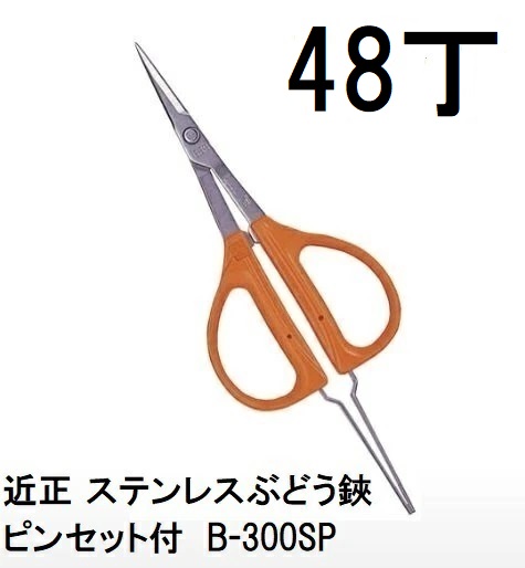 (48丁書き割り大特価) 近正 ステンレス鋼ぶどう鋏・毛抜き付 B-300SP (BP) チカマサ ぶどうハサミ (zmA70)