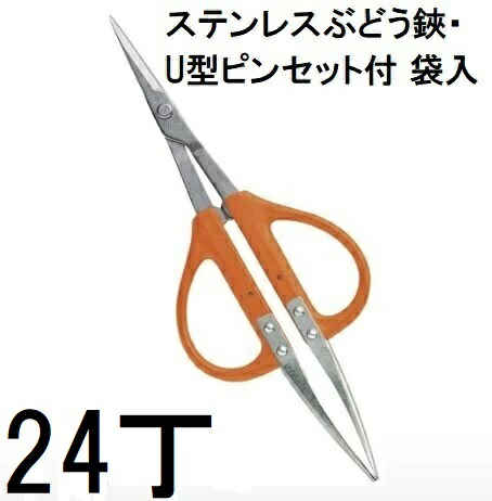 (24丁仕掛ける特価) 近正 B-300SU ステンレス鋼 ぶどう鋏・U型毛抜き付 プロ園芸剪刀 チカマサ (ネコポス2個orヤマト) (zm)