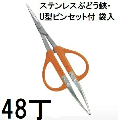(48丁書き割り大特価) 近正 B-300SU ステンレス鋼 ぶどう鋏・U型毛抜き付 プロ園芸剪刀 チカマサ (zm)
