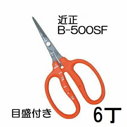 (徳用6丁仕かける) (ブリスターパック) 近正 ぶどう鋏 B-500空想科学小説 ステンレス鋼 フッソ製造 チカマサ ぶどう取りつくろう鋏 目盛付き添い人 (ネコポス2個) \u003cBR\u003e (zmA70) 剪定用具-花・ガーデン・DIY