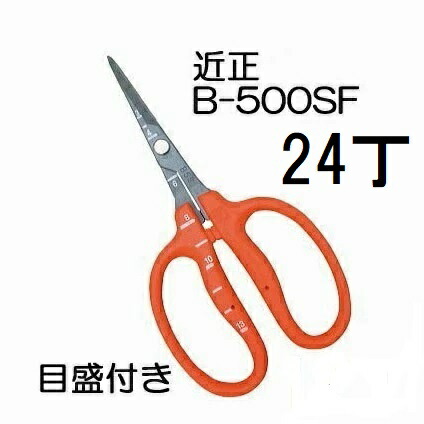 (24丁仕掛ける大特価) (ブリスターパック) 近正 ぶどう鋏 B-500空想科学小説 ステンレス鋼 フッソ製作 チカマサ ぶどう取りつくろう鋏 目盛付き添い人 \u003cBR\u003e (zmA70)