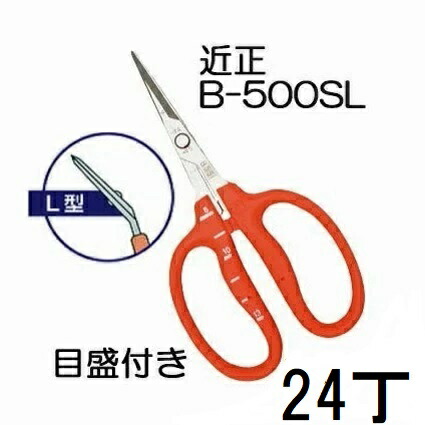 (24丁仕掛ける特価) (判定基準荷拵え) 近正 ステンレス鋼 ぶどう鋏 B-500SL L型 (曲げ刃) 目盛付き添い人 ぶどう取りつくろう鋏 チカマサ (ネコポス2個orヤマト) (zmA70)