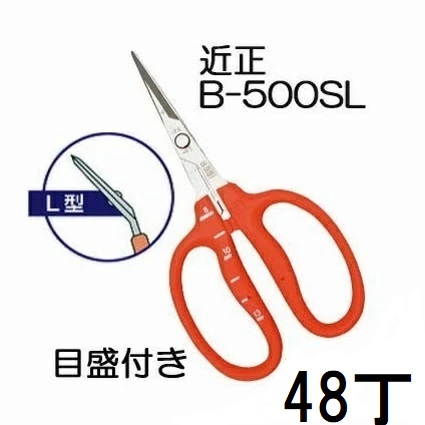 (48丁書き割り大特価) (標準尺度荷造り) 近正 ステンレス鋼 ぶどう鋏 B-500SL L型 (曲げ刃) 目盛付き添い人 ぶどう取りつくろう鋏 チカマサ (zmA70)