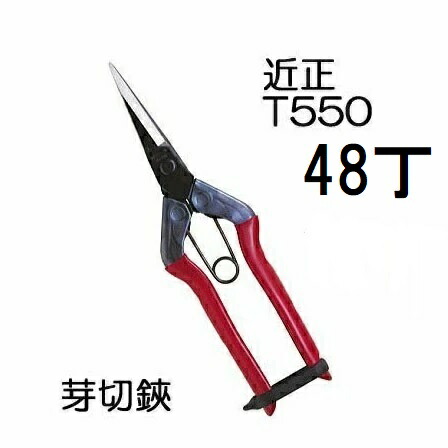 (48丁仕掛ける大特価) (標準尺度荷拵え) 近正 芽切鋏 T-550  チカマサ 園芸鋏 プロ園芸剪刀  (zmA70)