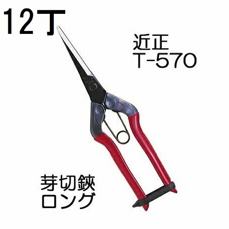 (12丁セット特価) 近正 T-570 芽切鋏 ロング チカマサ　(zm) 8,923円