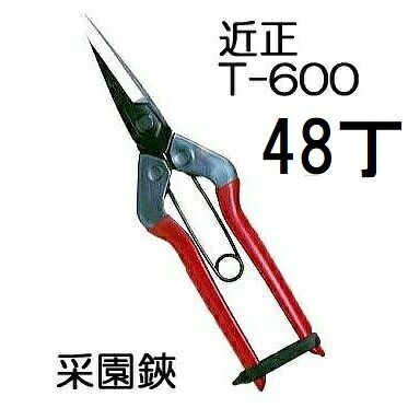 (48丁書き割り大特価) (判定基準荷拵え) 近正 采園鋏 T-600 大型虚抜く鋏 プロ園芸剪刀 チカマサ (zmA70)