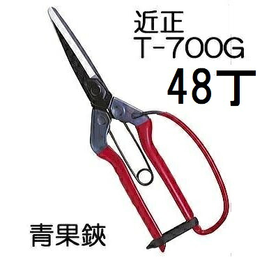 (48丁セット大特価) (標準包装) 近正 青果鋏 ガード付 T-700G 園芸鋏 本職園芸はさみ チカマサ (zmA21)|瀧商店