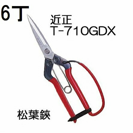 (徳用6丁仕掛ける) 近正 松葉鋏 かばい立て付 T-710GDX チカマサ (ネコポス2個) (zmA70)
