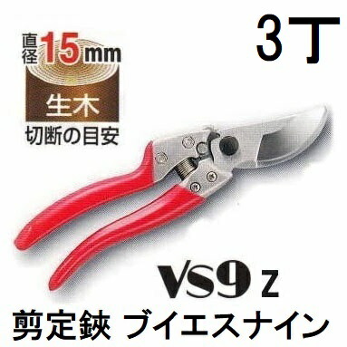 (3丁セット) ARS アルス 剪定鋏 VS-9Z ブイエスナイン Lサイズ 227mm (ネコポス)　(zmI1) 9,088円