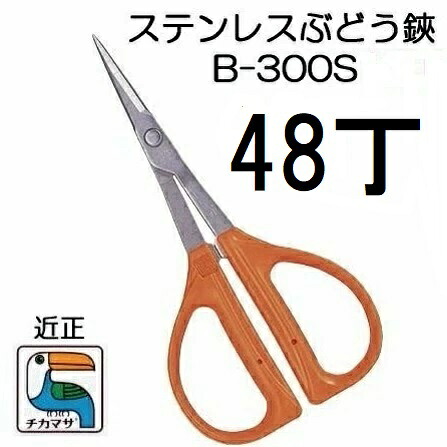 (48丁書き割り大特価) (判定基準荷拵え) 近正 ステンレス鋼 ぶどう鋏 B-300S チカマサ (佐川等orネコポス4個) (zmA21)