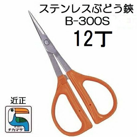 (徳用12丁書き割り) (標準尺度荷造り) 近正 ステンレス鋼 ぶどう鋏 B-300S チカマサ (ネコポス) (zmA21)