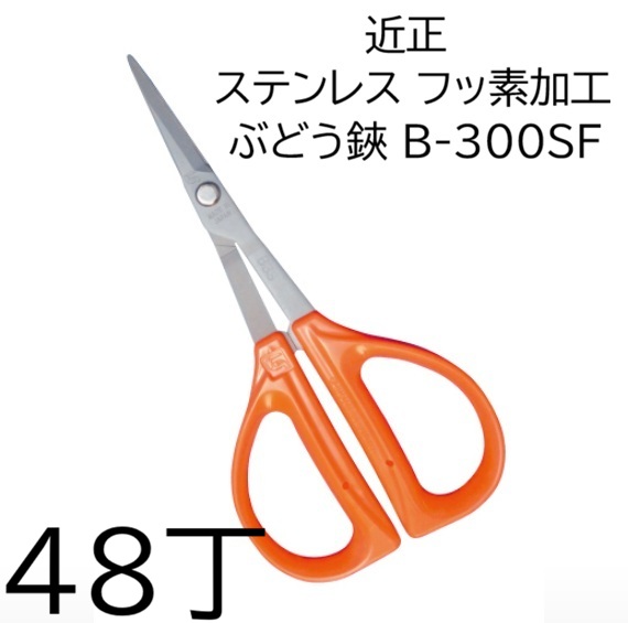 (48本セット大特価) 近正 ステンレス フッ素加工 ぶどう鋏 B-300SF 園芸鋏 チカマサ　(zmA70)｜瀧商店