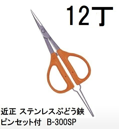 (徳用12丁仕掛ける) 近正 ステンレス鋼ぶどう鋏・毛抜き付 B-300SP (BP) チカマサ ぶどうハサミ (佐川等orネコポス3個) (zmA70)