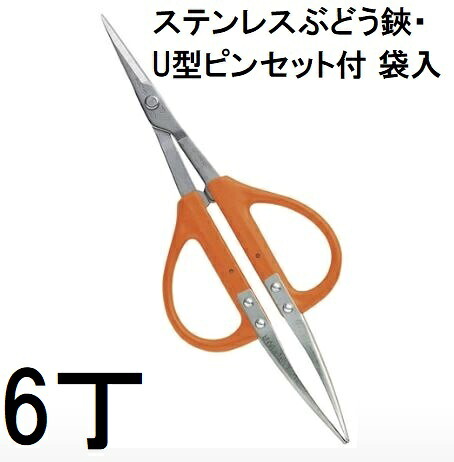 (6丁仕掛ける) 近正 B-300SU ステンレス鋼 ぶどう鋏・U型毛抜き付 プロ園芸剪刀 チカマサ (ネコポス) (zm)