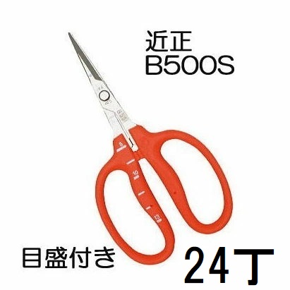 (24丁セット特価) (標準包装) 近正 ステンレス ぶどう鋏 B-500S S型 (直刃) 目盛付き ぶどう手入れ鋏 チカマサ (ネコポス2個orヤマト)　(zmA70)｜瀧商店