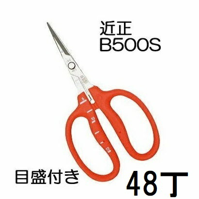 (48丁書き割り大特価) (判定基準荷拵え) 近正 ステンレス鋼 ぶどう鋏 B-500S S型 (直刃) 目盛付き添い人 ぶどう取りつくろう鋏 チカマサ (ネコポス2個orヤマト) (zmA70)