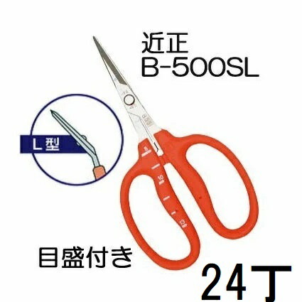(24本仕掛ける大特価) (ブリスターパック) 近正 ステンレス鋼 ぶどう鋏 B-500SL L型 (曲げ刃) 目盛付き添い人 ぶどう取りつくろう鋏 チカマサ (zmA70)