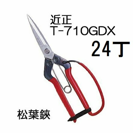 (24丁書き割り大特価) 近正 松葉鋏 差し固める付 T-710GDX チカマサ (zmA70)