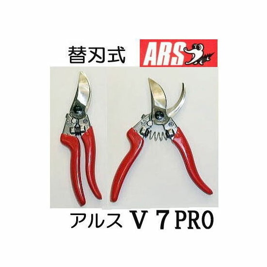 ars様♡専用 STAR☆ SIGNET RING｜CONVERSE TOKYO (コンバーストウキョウ