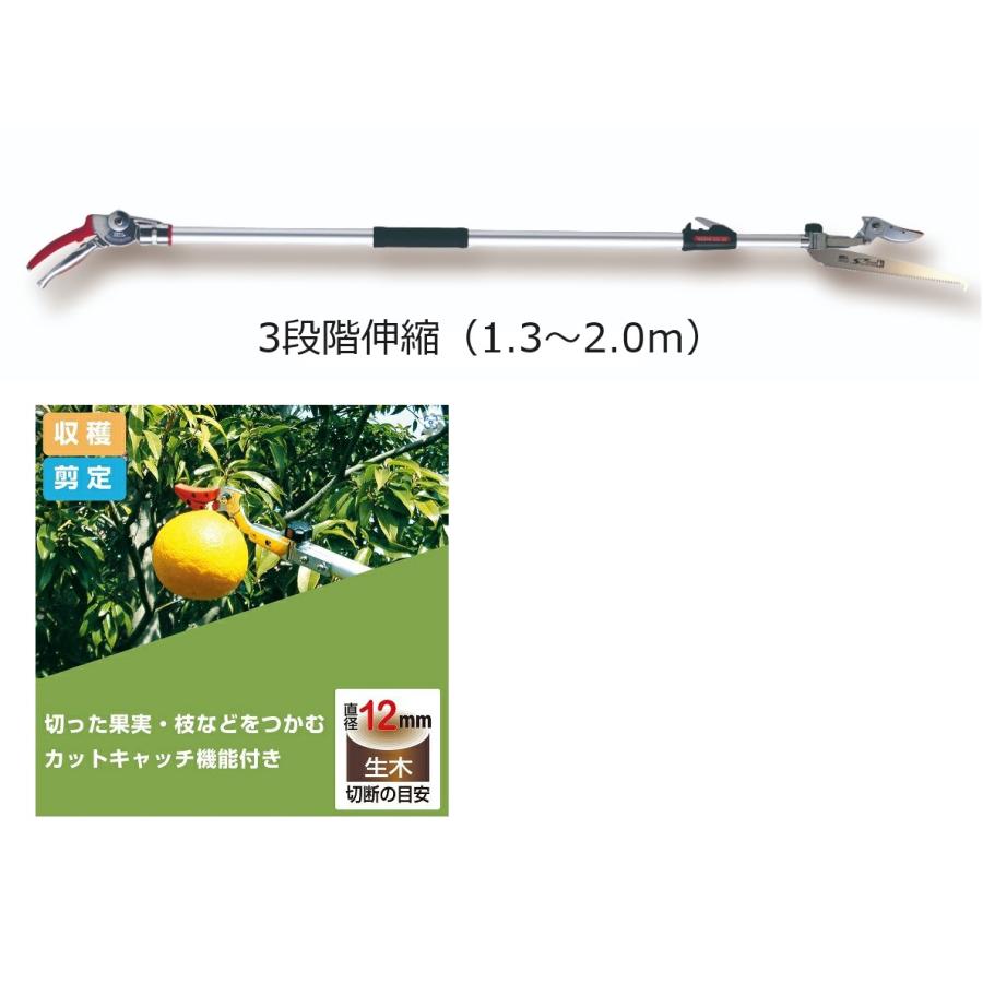 ARS アルス 伸縮式高枝鋏 ズームチョキチルトR 採収手合い 遊撃手2.0 鋸付き添い人 160ZTR-2.0-3D 1.3～2ｍ 成り物 庭木 (法人人間選りわける) haya