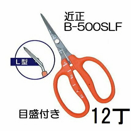 (12丁セット特価) 近正 ぶどう鋏 B-500SLF L型曲げ刃 ステンレス フッソ加工 目盛付き チカマサ　(zmA70)