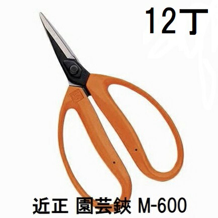 (12丁セット特価) 近正 園芸鋏 M-600 大型摘果鋏 チカマサ (zmA70)