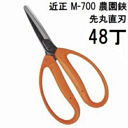(48丁書き割り大特価) (判定基準荷拵え) 近正 栽培所鋏 M-700 玉葱刈りいれる鋏 先丸直刃  チカマサ (zmA70)