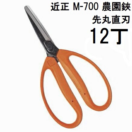 [圧倒的人気 在庫あり ] MGIGEQYITRQ (MGIGEQYITRQ)