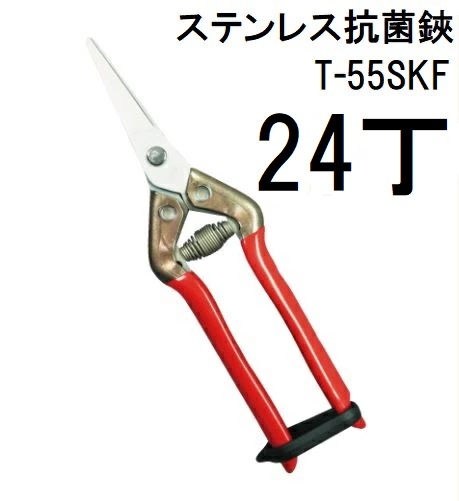(24丁仕掛ける大特価) 近正 プロ園芸剪刀 ステンレス鋼抗菌鋏 芽切鋏 T-55SKF チカマサ (zmA70)