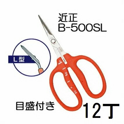 (徳用12丁セット) (標準包装) 近正 ステンレス ぶどう鋏 B-500SL L型 (曲げ刃) 目盛付き ぶどう手入れ鋏 チカマサ (ネコポス) (zmA70)|瀧商店