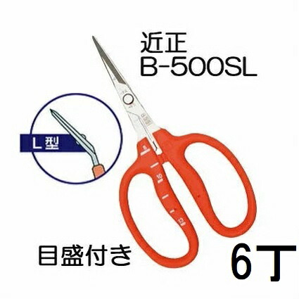 (6丁セット) (標準包装) 近正 ステンレス ぶどう鋏 B-500SL L型 (曲げ刃) 目盛付き ぶどう手入れ鋏 チカマサ (ネコポス) (zmA70)