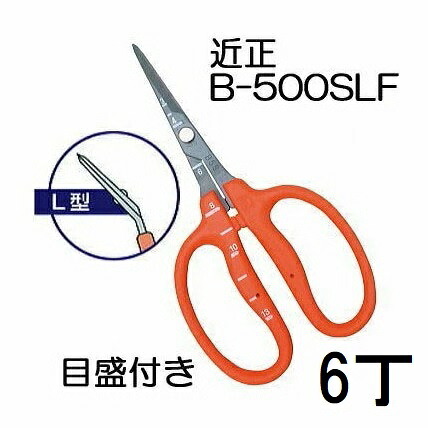 (徳用6丁仕かける) 近正 ぶどう鋏 B-500SLF L型 曲げ刃 ステンレスフッソ製造 ぶどう取りつくろう鋏 目盛付き添い人 チカマサ (ネコポス2個orヤマト) (zmA70) 剪定用具-園芸用はさみ