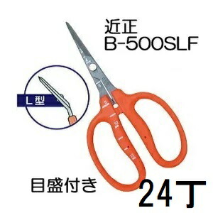 (24丁仕掛ける大特価) 近正 ぶどう鋏 B-500SLF L型 曲げ刃 ステンレスフッソ製作 ぶどう取りつくろう鋏 目盛付き添い人 チカマサ (zmA70)