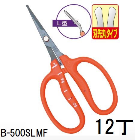 (徳用12丁仕掛ける) (判定基準荷拵え) 近正 B-500SLMF ステンレス鋼 フッ素製作 ぶどう取りつくろう鋏 刃先丸印字機 (L型・刃先丸) チカマサ (ネコポス) (zmA70)